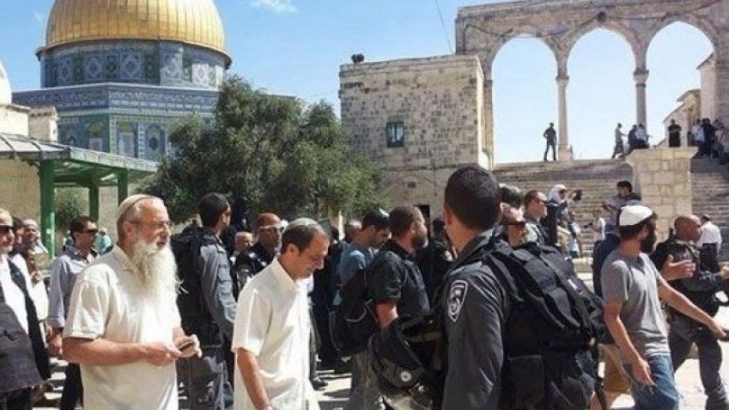 Decine di coloni invadono al-Aqsa