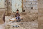 Əməkdaşlıq və sosial təminatın nəzəri əsasları
