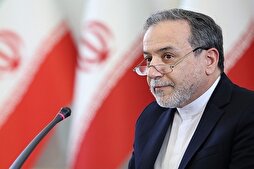Netanyahu Miserably Failed in Wars on Gaza, Iran: Iranian FM