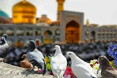 3,500 Red Crescent Volunteers Serve Pilgrims in Mashhad