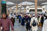 Medina Receiving Growing Number of Umrah Pilgrims