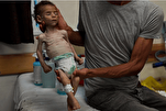 Israel’s Starving, Slaughtering of Gazans Seeking Food Condemned