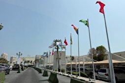 Arab, Islamic Countries’ Cooperation Only Path to Regional Security, Stability: Expert