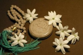 آموزش و پرورش رتبه اول آموزش نماز البرز را به خود اختصاص داد