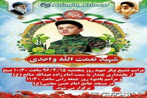 مدافع حرم البرزی آسمانی شد