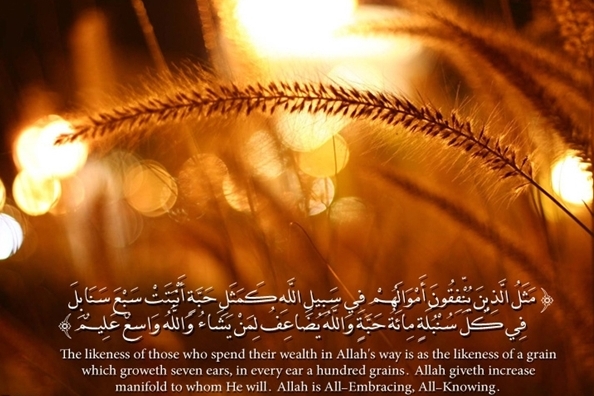 حساب خدا در کتابش نوشته شده/ یک به 70 برنده باشیم