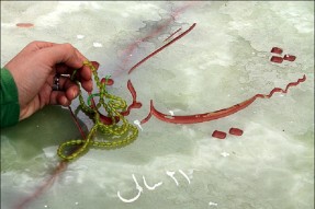 البرز میزبان 4 شهید گمنام می‌شود