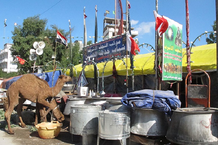 اسکان 26 هزار زائر در موکب استان البرز در نجف