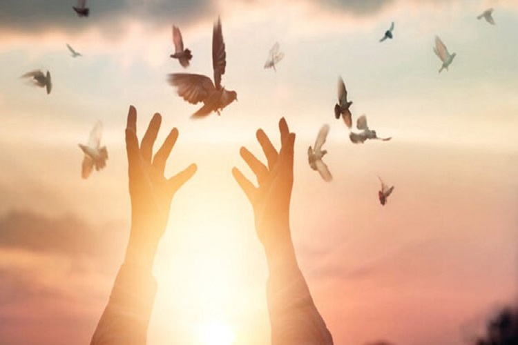 آزادی 196 زندانی غیرعمد ندامتگاه فردیس آزادی 196 زندانی غیرعمد ندامتگاه فردیس