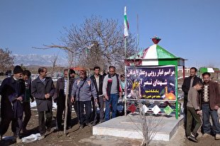 ویژه‌برنامه‌های آستان مقدس امامزاده سیدابراهیم(ع) در دهه فجر + عکس