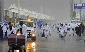 فیلم/ بارش باران در صحرای عرفات