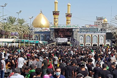 فیلم | شور حسينی در کربلای معلی