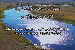 فیلم | تلاوت سوره عبس با صوت «شحات»