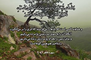 فیلم | تلاوت آیه 19 سوره فاطر با صوت «حصان»