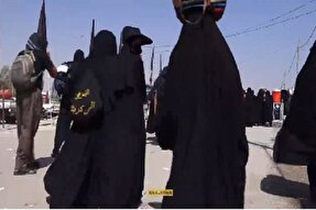 فیلم | قدم به قدم با زائران در طریق کربلا