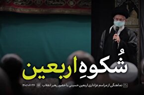 نماهنگ | شکوه اربعین