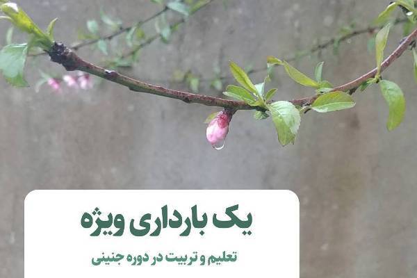 پنجمین قدم برای داشتن بهترین فرزند