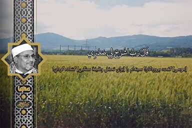 فیلم | فراز شنیدنی «طنطاوی» از سوره مبارکه طه