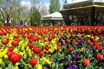 چمران در قاب هزار رنگ؛ یازدهمین جشنواره لاله‌های کرج آغاز شد