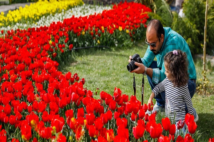 جشنواره های لاله‌ها