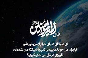 طرح | دوره کوتاه زندگی