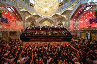 حرم امام علی(ع) غرق در شور اربعین حسینی + عکس