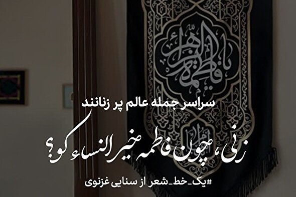 طرح | خیر النساء(س)