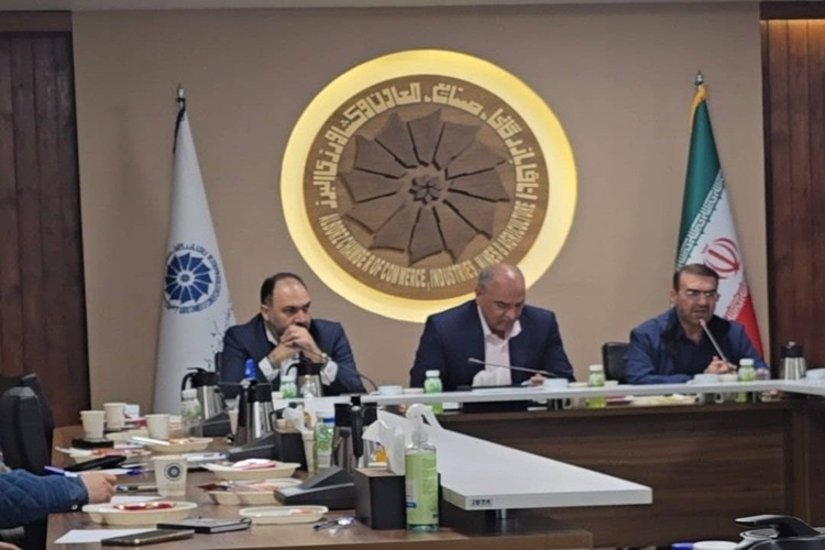 جلسه کمیسیون گردشگری