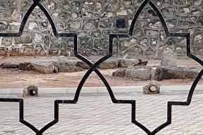 عزاداری دانشجویان عمره‌گزار برای حضرت مادر در غربت بقیع