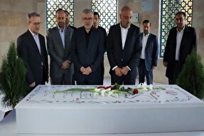 آغاز سفر یک‌روزه وزیر کار به البرز با ادای احترام به شهدای گمنام