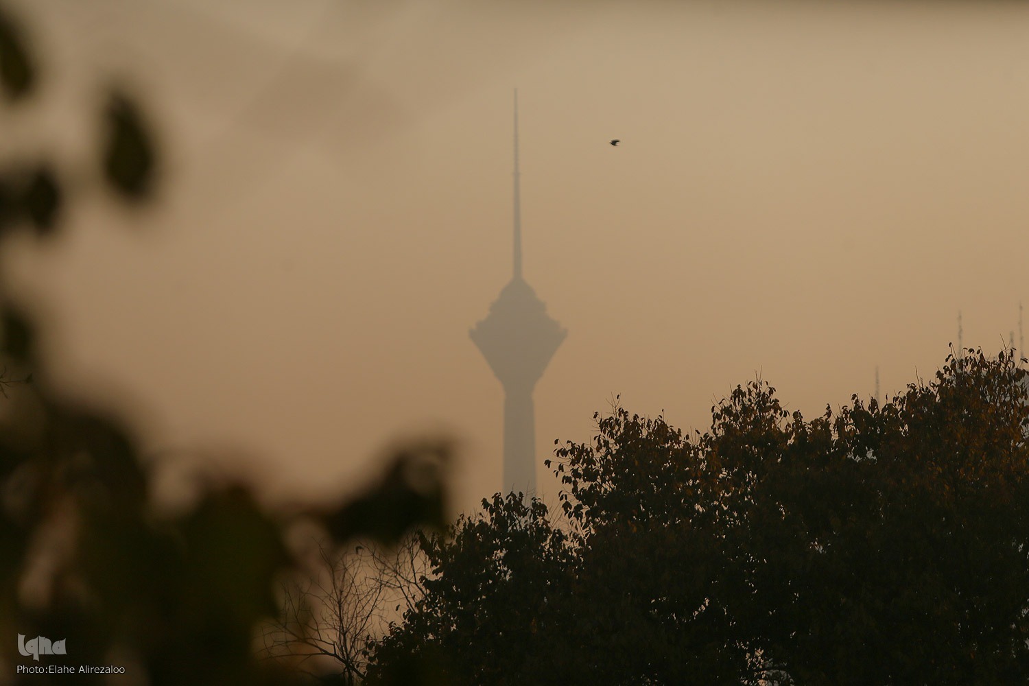 تداوم آموزش غیرحضوری دانشگاه‌ها و مدارس استان تهران