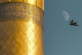 استوری‌موشن | نشانه‌های قائم(عج)