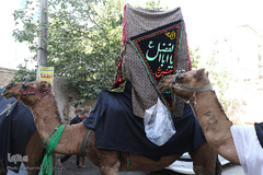 ⁨آئين نمادين حركت كاروان اسرای كربلا