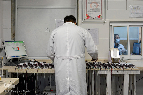 نذر خون در تاسوعای حسینی - کرج