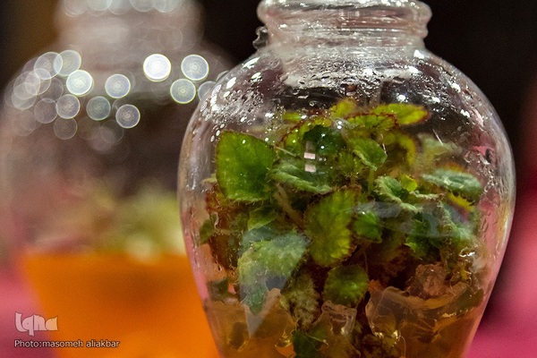 نمایشگاه هفته پژوهش استان البرز‎‎