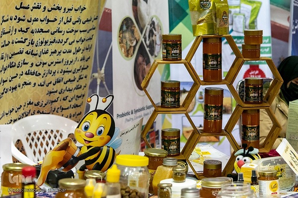 نمایشگاه هفته پژوهش استان البرز‎‎