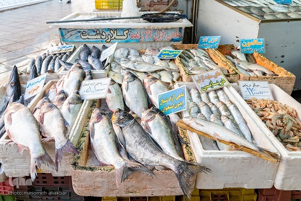 رونق بازار شب یلدا در کرج