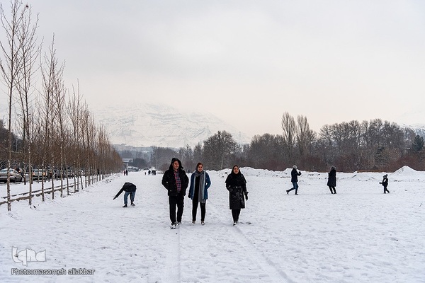 کرج سپید پوش شد‎