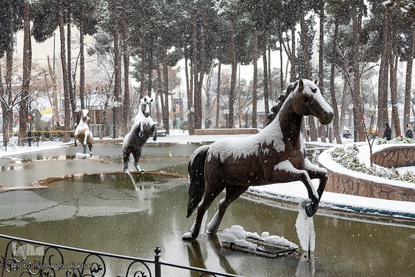 کرج سپید پوش شد‎