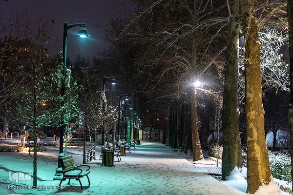 کرج سپید پوش شد‎