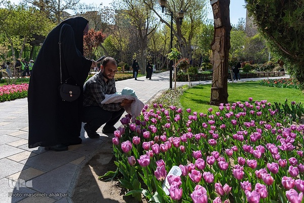 نهمین جشنواره لاله کرج