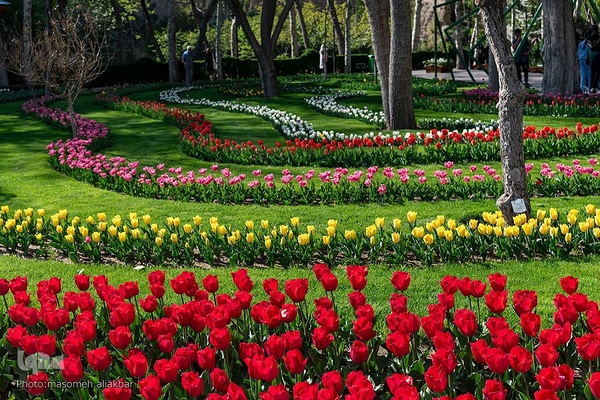 نهمین جشنواره لاله کرج