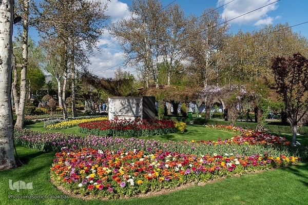 نهمین جشنواره لاله کرج