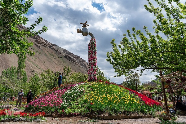 جشنواره لاله‎های آسارا‎