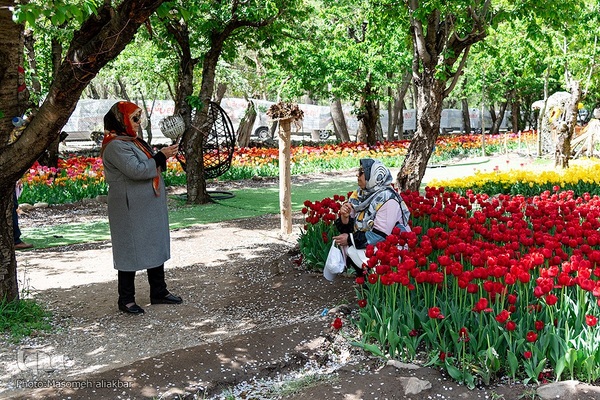 جشنواره لاله‎های آسارا‎