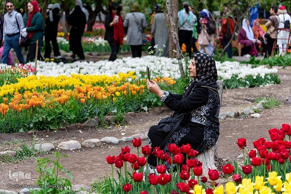 جشنواره لاله‎های آسارا‎