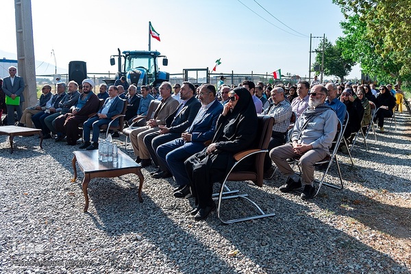 جشن شکرگزاری برداشت گندم‎