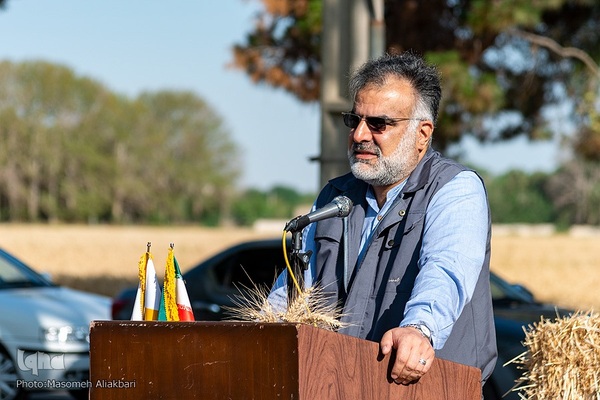 جشن شکرگزاری برداشت گندم‎