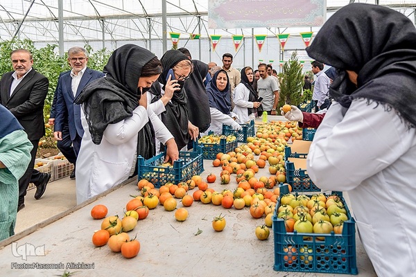 افتتاح پروژه‌های هفته دولت در شهرستان‌های نظرآباد و ساوجبلاغ‎