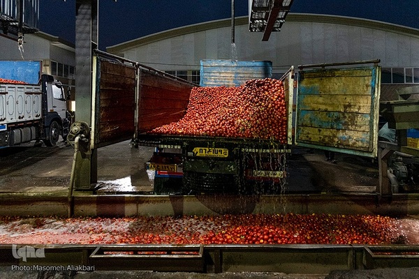 افتتاح پروژه‌های هفته دولت در شهرستان‌های نظرآباد و ساوجبلاغ‎